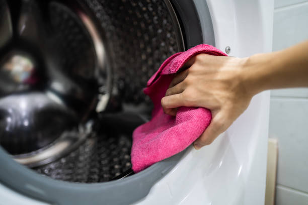 Avalon, CA Mold Removal Company