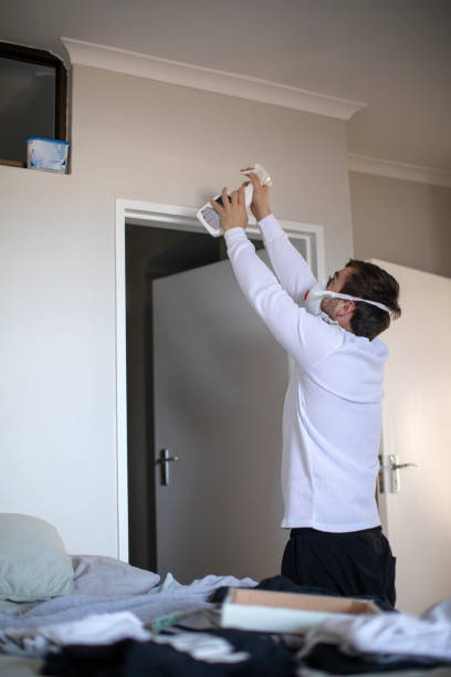 Best Water Damage & Mold Remediation  in Avalon, CA