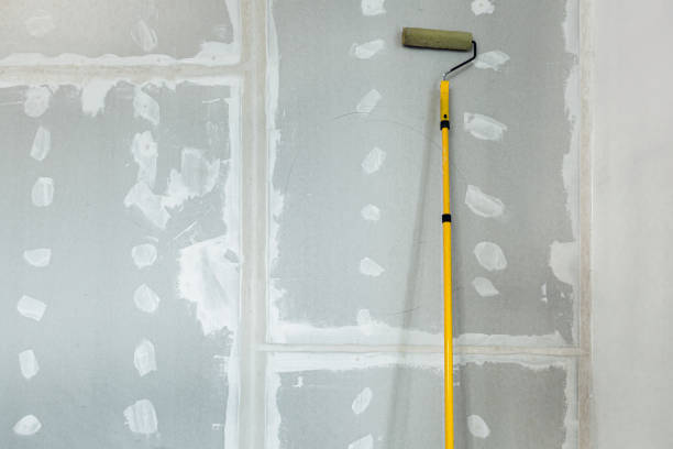 Best Residential Mold Inspection & Testing  in Avalon, CA